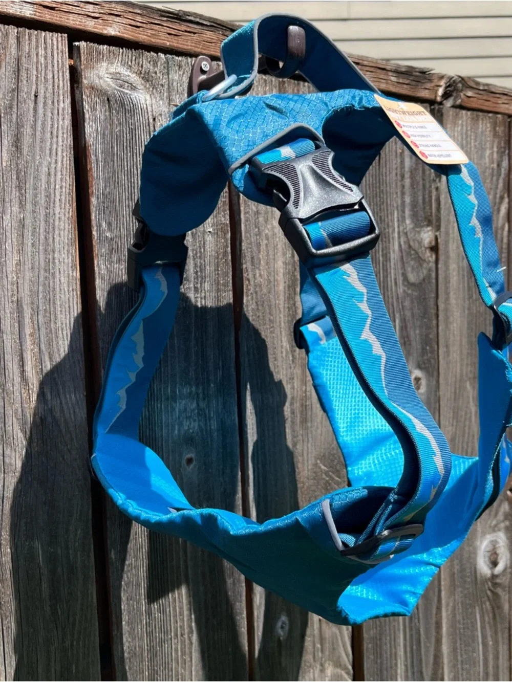 Lightweight teal outdoor Arcadia trail harness
